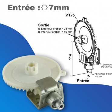 Couple conique ZF n°0 -...