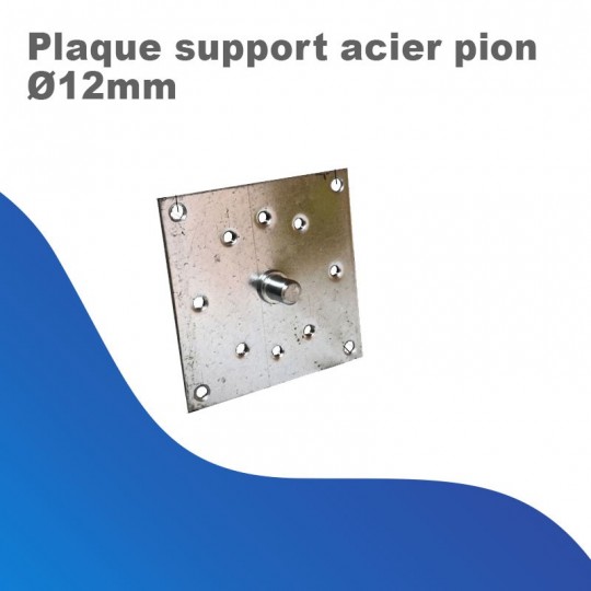 Plaque support acier pion Ø12mm