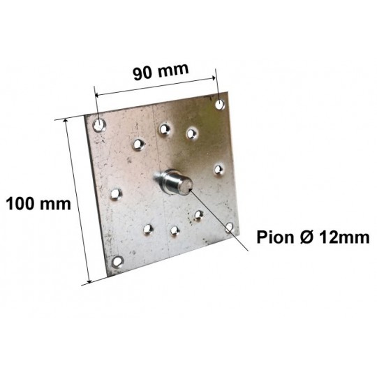 Plaque support acier pion Ø12mm