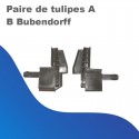 Paire de tulipes A – B Bubendorff