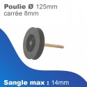 Poulie D125 avec carré de 8